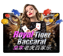 pawin88 JK slot Royal Tiger Baccarat